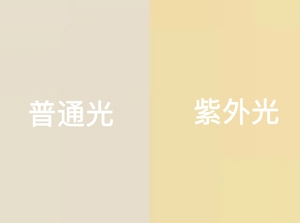 UVY 黃色